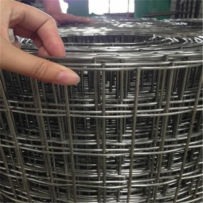 Résistance à la rouille galvanisée 50 * 50mm filet de fil soudé Rideau de filet de fil soudé 1/4 pouce trou carré en acier soudé par fabricant Prix en gros