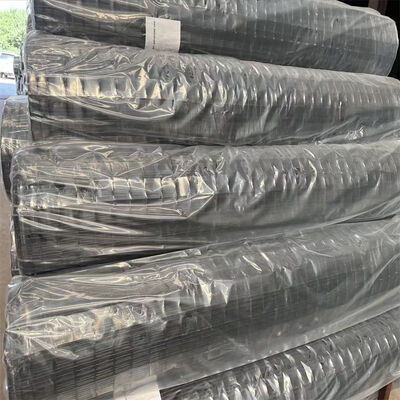 Panneaux de clôture en treillis métallique soudé hollandais, prix d'usine de haute qualité 50x50mm vert enduit de PVC pour clôture européenne