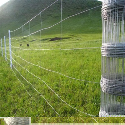 Fermeture en treillis métallique galvanisé durable