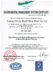 Chine Anping County Baodi Metal Mesh Co.,Ltd. certifications