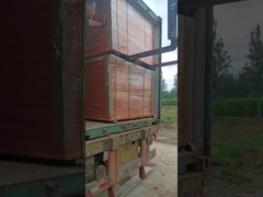 Panneaux de treillis métalliques soudés en PVC